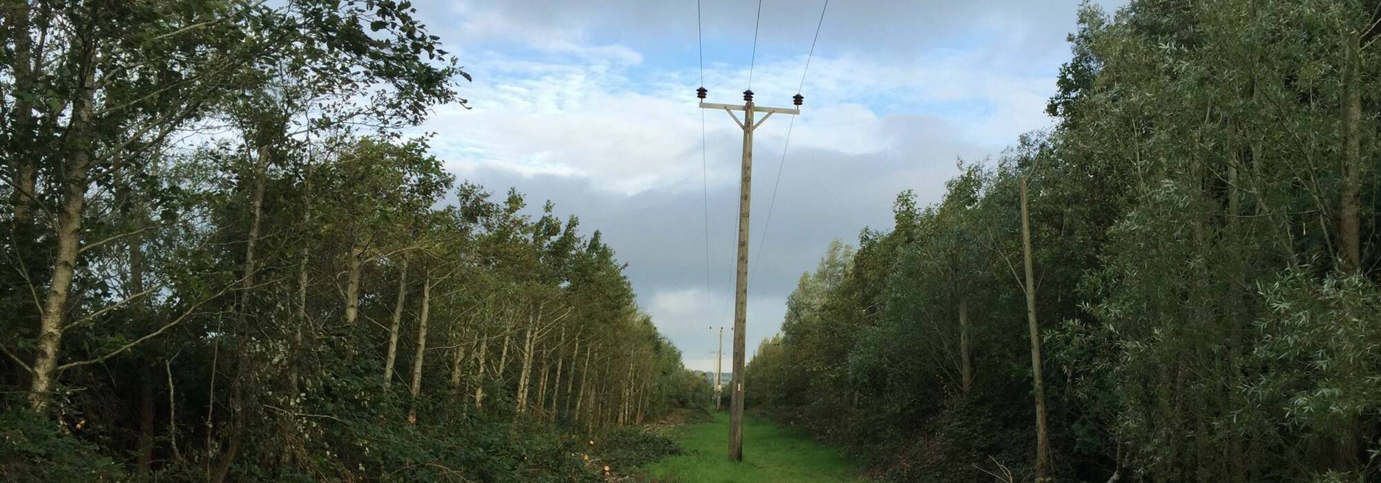 Forestry Valuation & Consents For Tree Cutting For Resilience Of Existing 33KV Overhead Line
